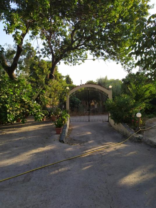 Ο ΚΉΠΟΣ ΣΤΗΝ ΑΓΙΑ ΒΑΣΣΑ(ΜΙΚΡΟ)