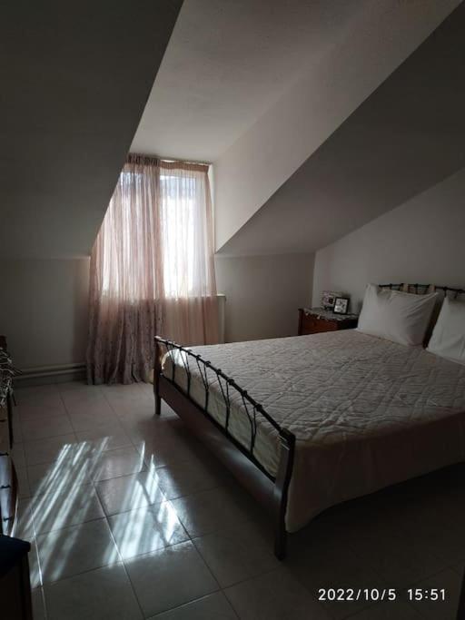 Mina's Apartment