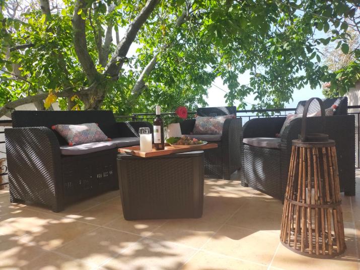 ΑΡΧΟΝΤΙΚΟ ΑΡΤΕΜΙΣ-Villa Artemis since 1871