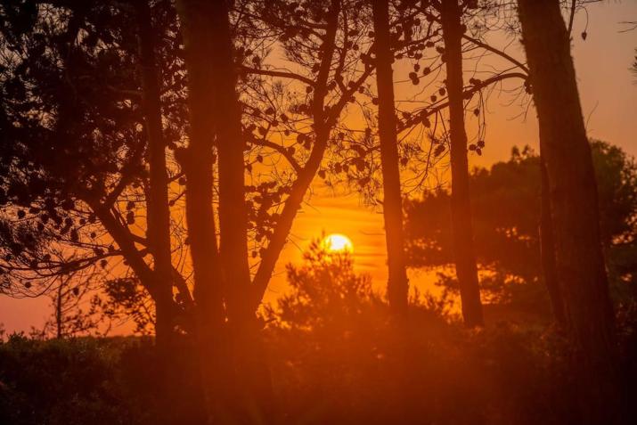 Seashell Luxury Residence - Apartment 2