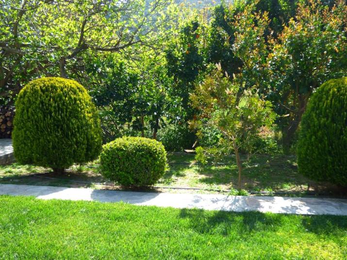 Garden house No1