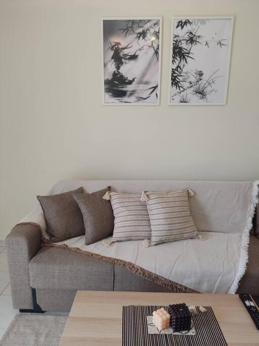 M.V Apartment