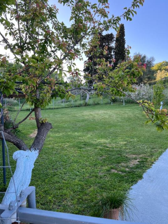 Home in nature