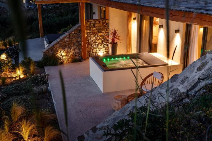 Opuntia Suites