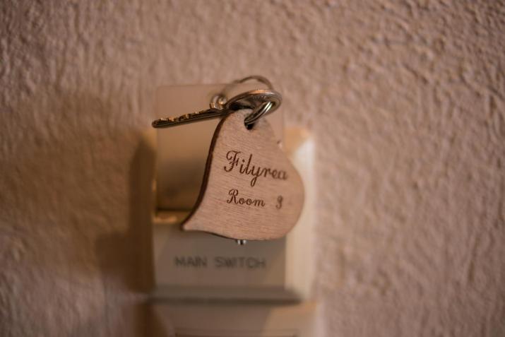 Φιλυρέα Apartments - Room 3