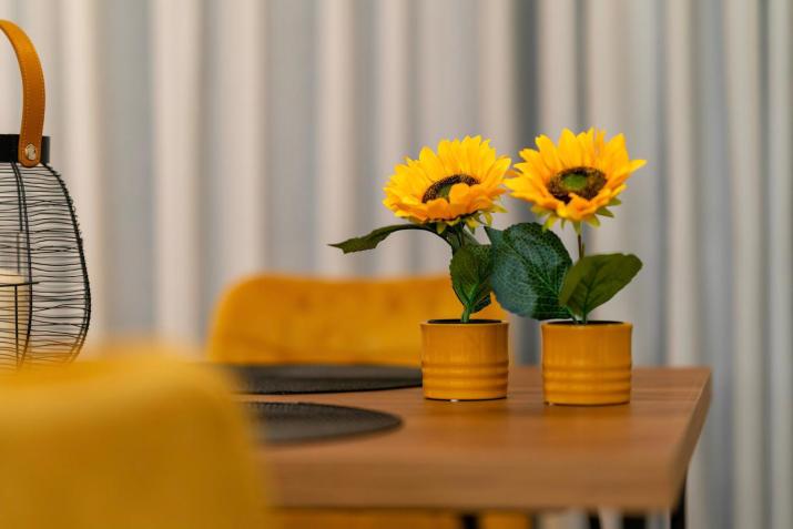 Luxury Town Center Suite, Β1