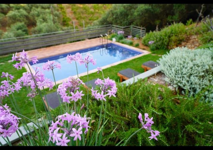 Physis Villas Chania