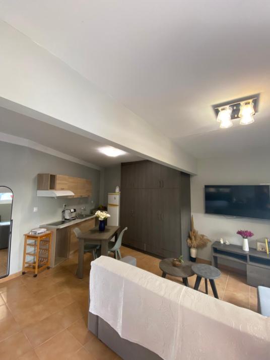 Vasiliki Apartment