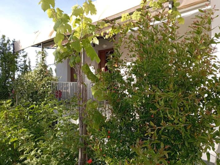 Beautiful Pelion Guesthouse with Spectacular Views