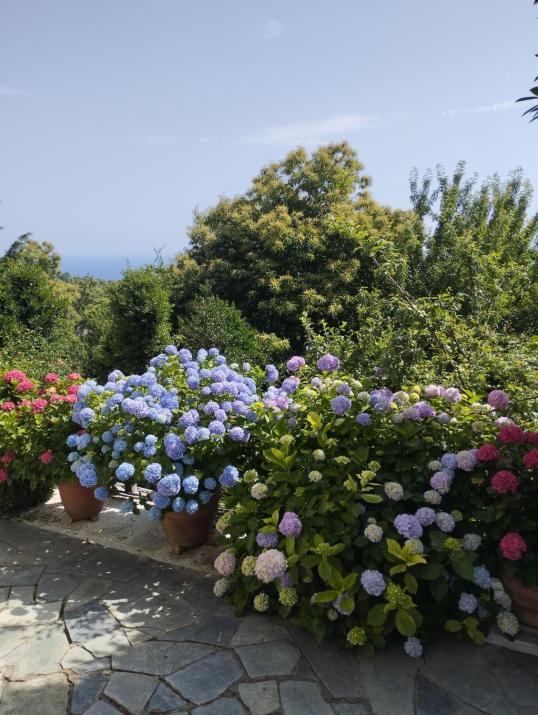 Dimosthenis Karastamatis Rooms