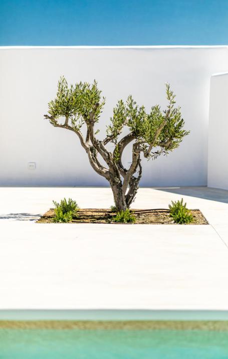 Petradia Villas