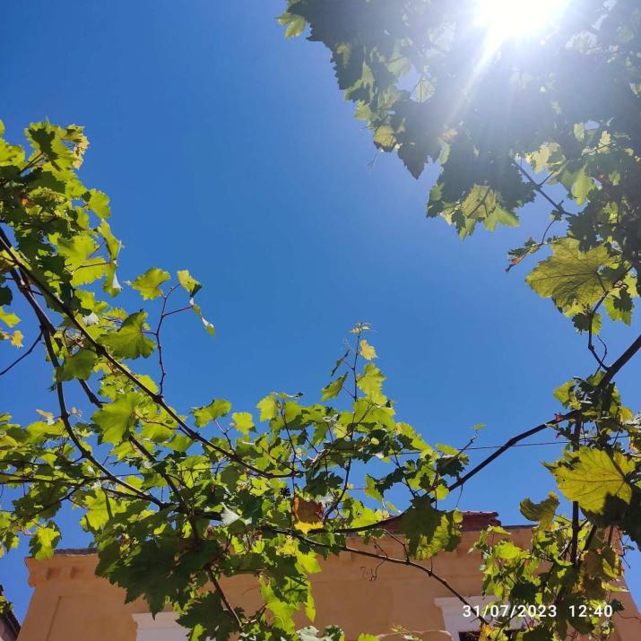 Rhodes Youth Hostel Adults only 18-40