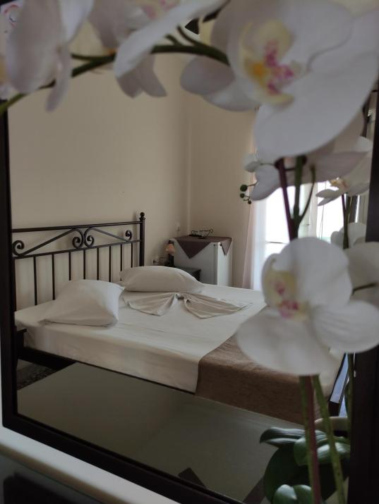 Paradise Garden Paros