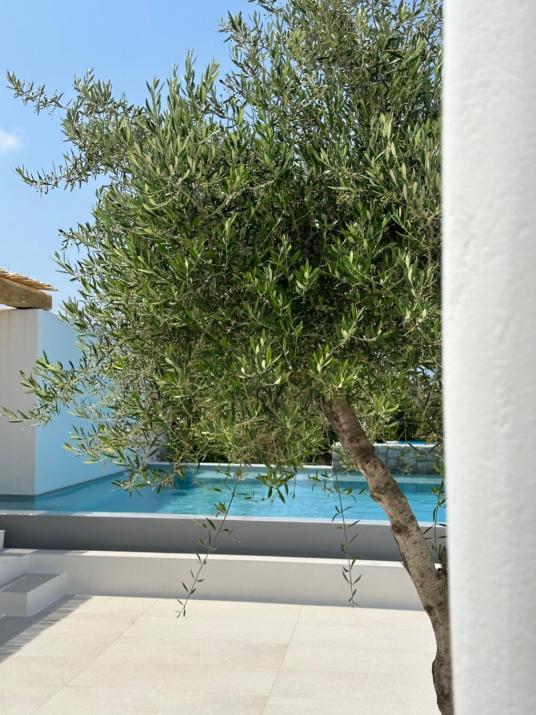 Alio Naxos Luxury Suites