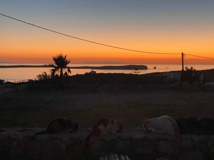 Nerea Sunset View Apartment