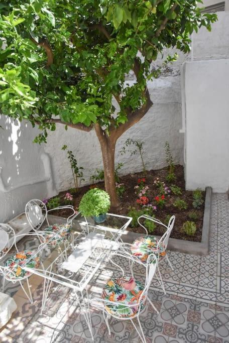 Beautiful, Private Home Close to Athens Center
