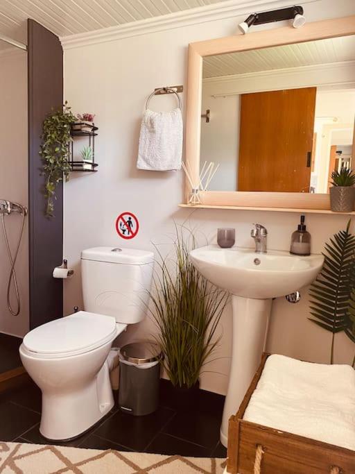 The Tokyo Drift Caravan