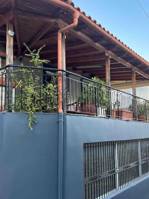 Lemon Tree