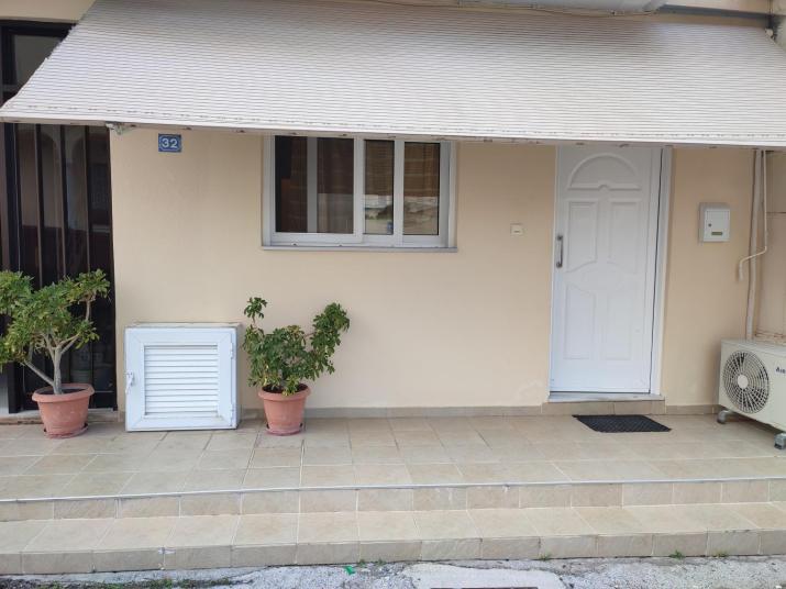 Olga's House