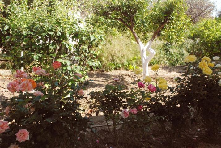 Nadia's House 1