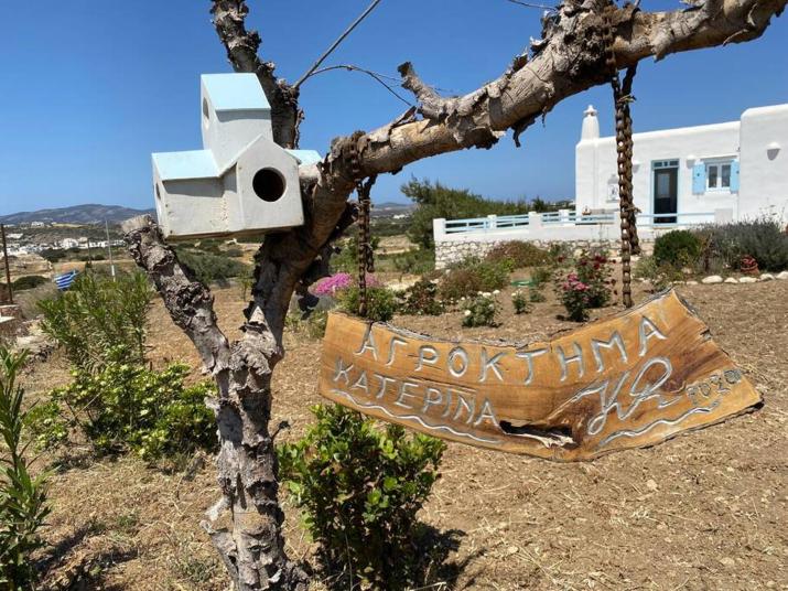 New Cycladic house ¨Agroktima Katerina¨