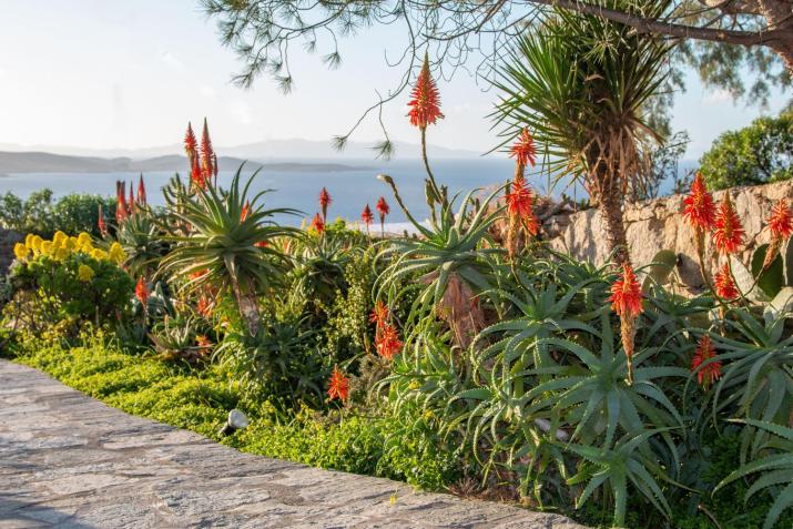 Villa Delos Sunset View