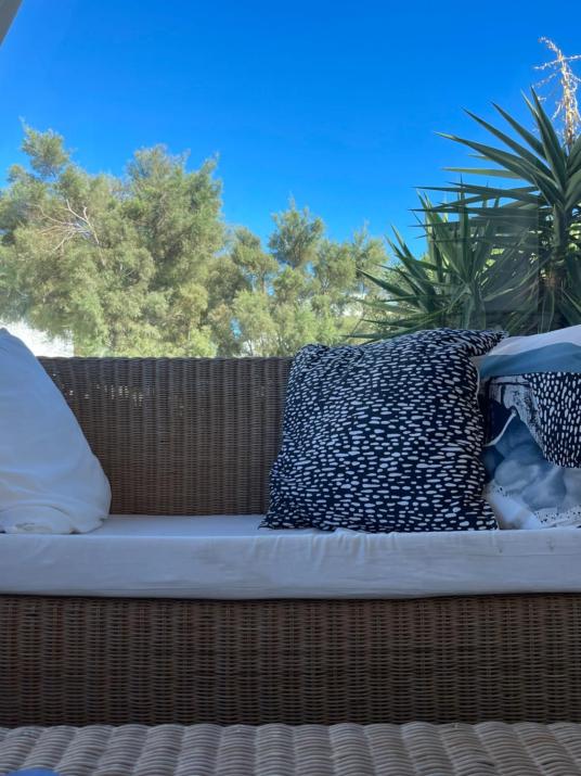 Luxurious Traditional Home