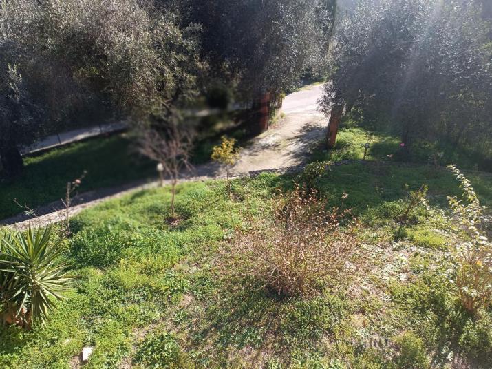 Εξοχικό κατάλυμα στο Βιρο Κέρκυρας