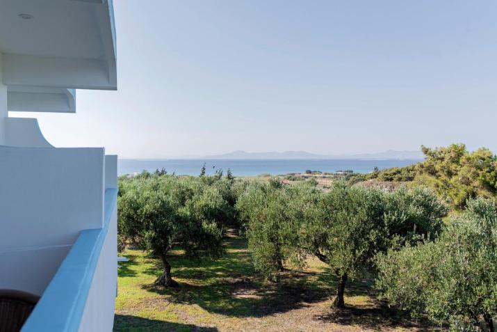 Summer View