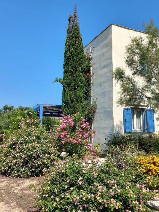 Kedros Villas