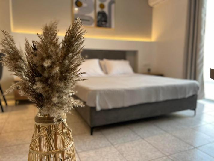Ilias Nest 1