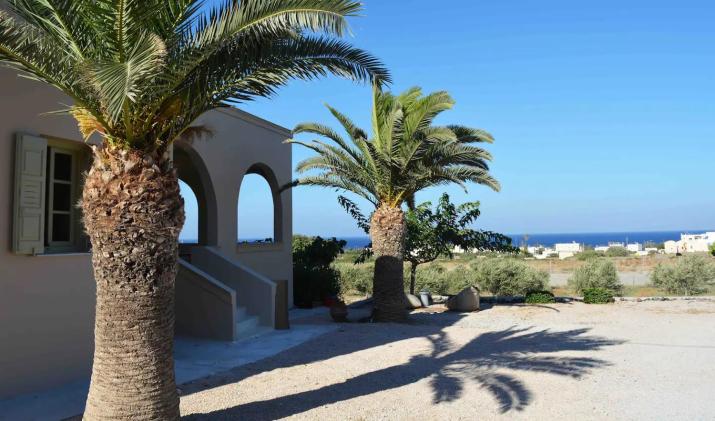 Olive Villa
