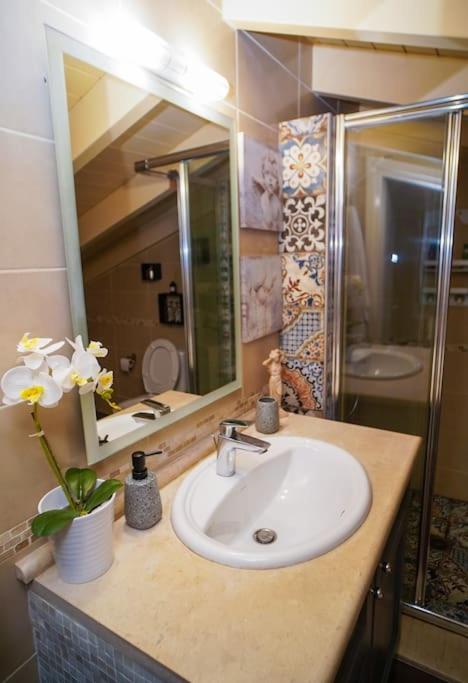 Melina's Bright Apartment, Viros