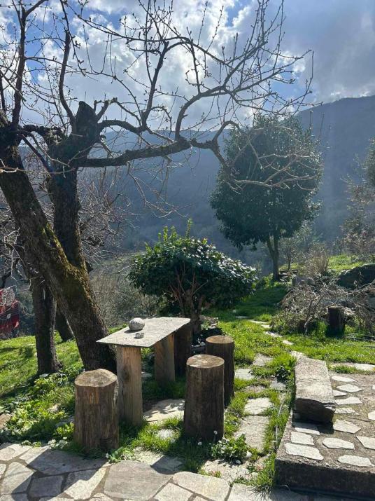 Maria's paradiseHOME