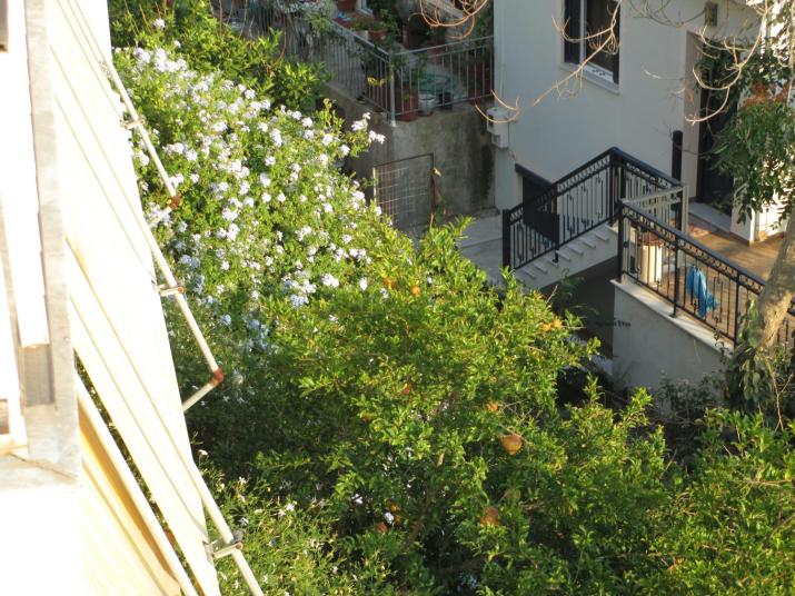 NICK STUDIOS previous NICK HOUSE