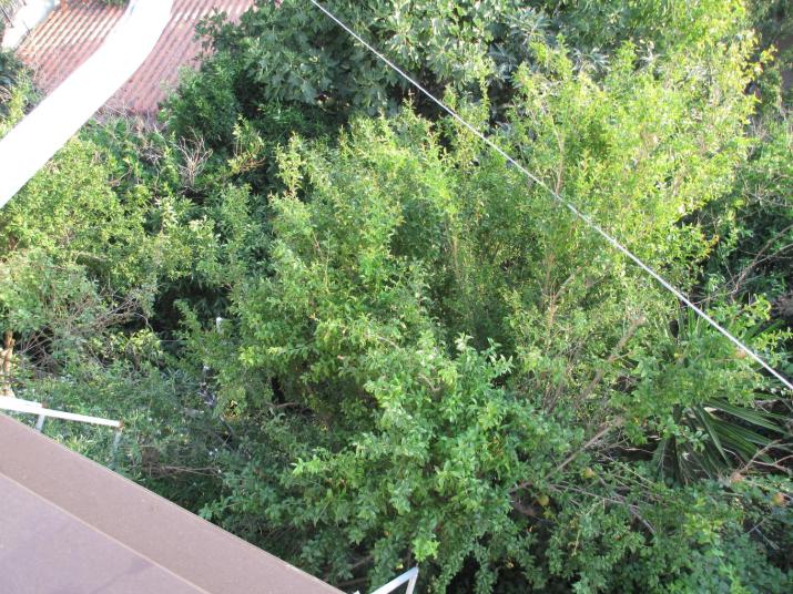 NICK STUDIOS previous NICK HOUSE