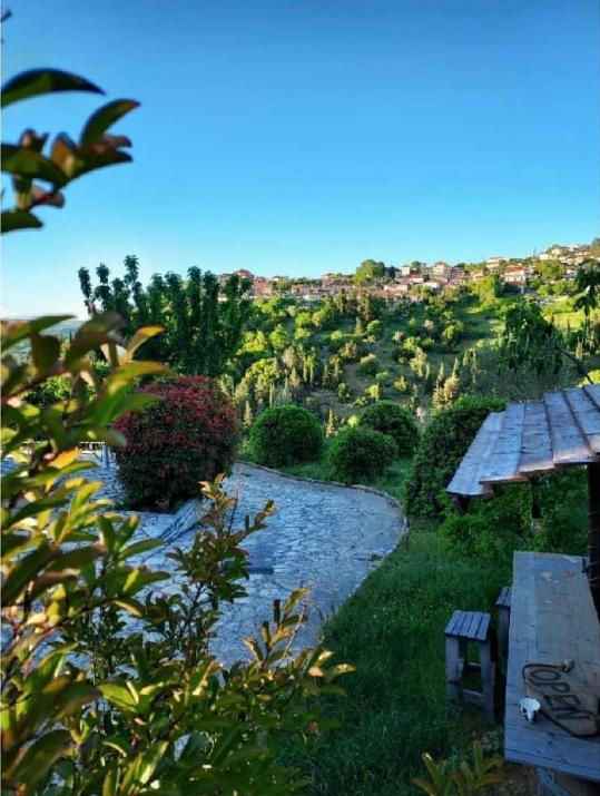 Agnanti Zitsas Hotel
