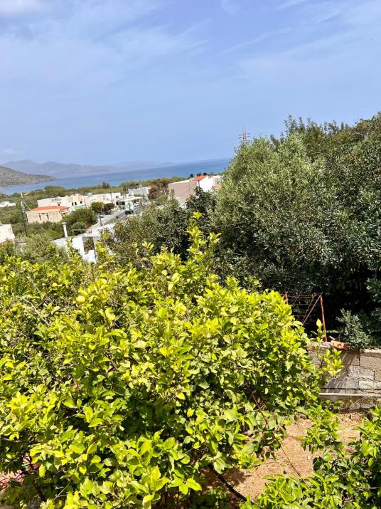 Like a local by GiomaMeze