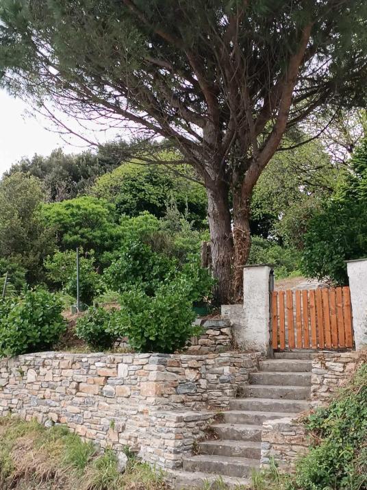 So Simple Guest House,Mouresi