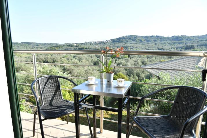 Green View Apartments