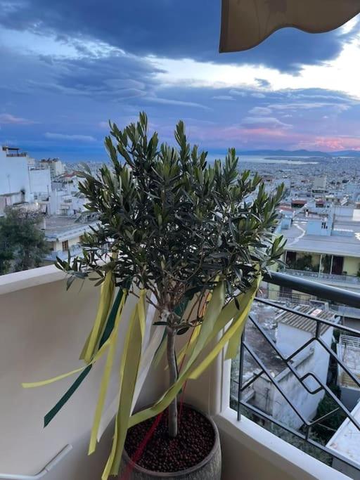 newly built apartment with amazing view