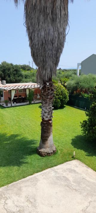 Villa Oneiropagida