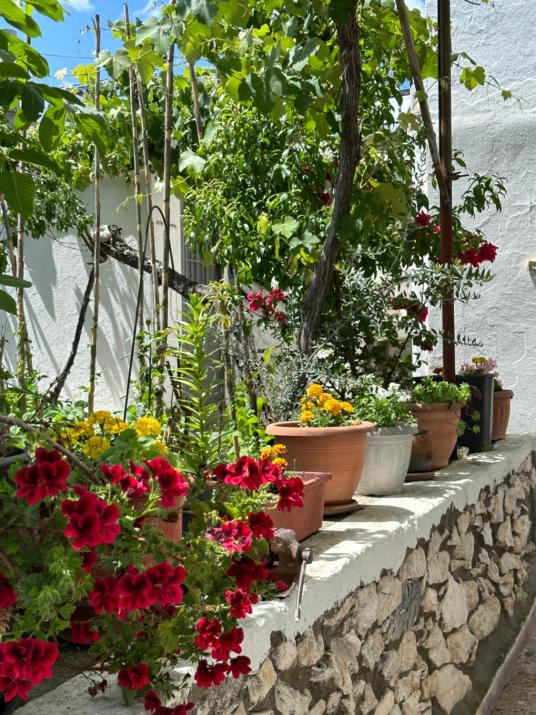 Kate's Guesthouse