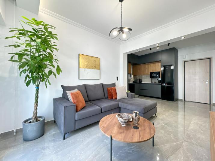 Luxury Downtown Apartment D1