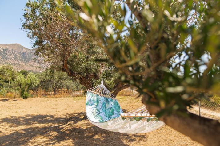 Livas Relaxing Villas in Kardamena
