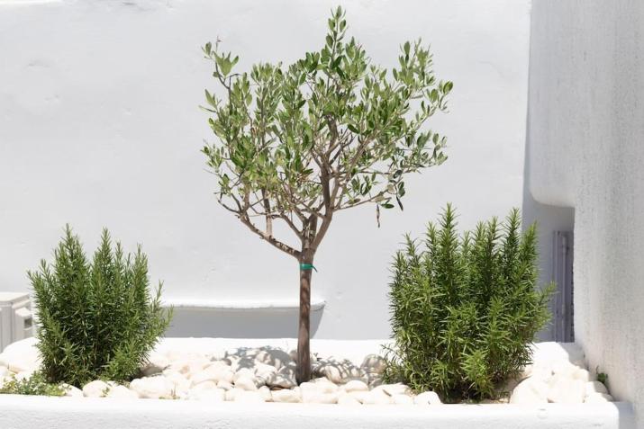 SWELL S12 new studio in Naousa