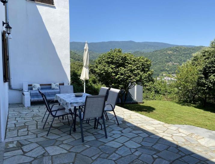 Camellia Guesthouse