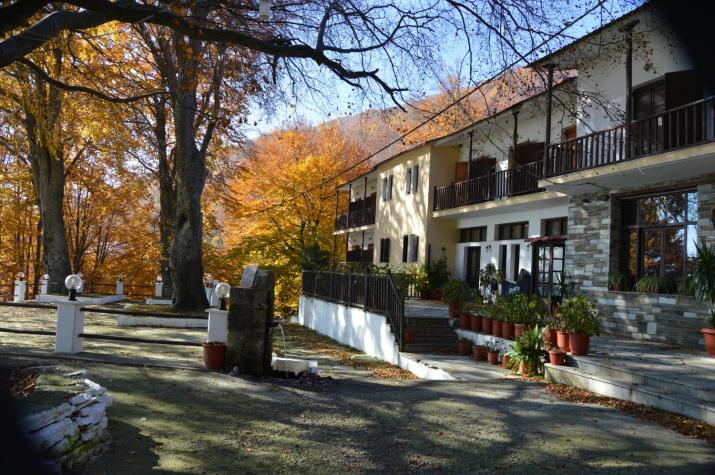 Hotel Hani Zisi