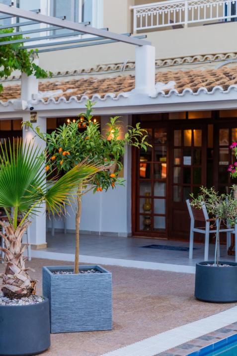 Sunsea Wellness Resort