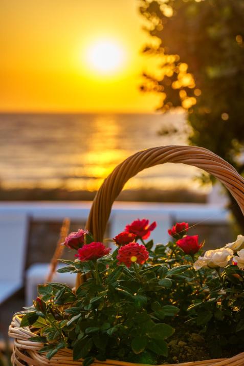 Blue Eyes Beach Villas